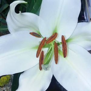 Meet your Posher, Mayra